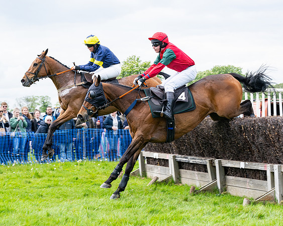Race 2 - Veteran Horse (47 of 80)