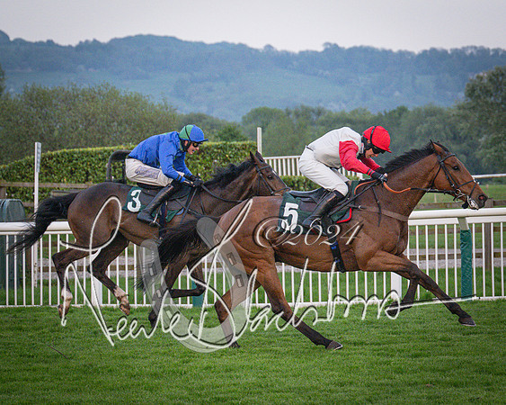 Race - 7 The Royal Gloucester Hussars Open Hunter's steeplechase 2m4f 127y (124 of 210)