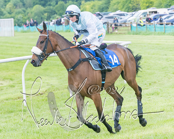 Race 4 - Mixed Open (72 of 591)
