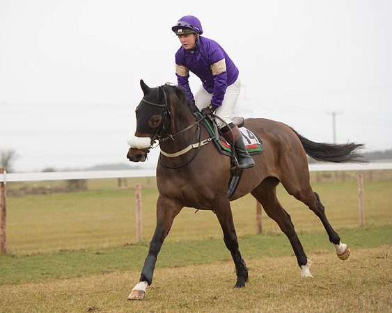 Race 6 - Open Maiden (39 of 120).jpg