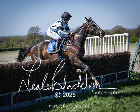 Race 2 - The Maiden (107 of 118)