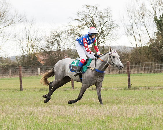 Pony Race 1 (63 of 192)
