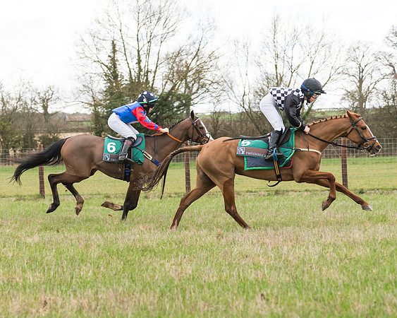 Pony Race 1 (76 of 192)