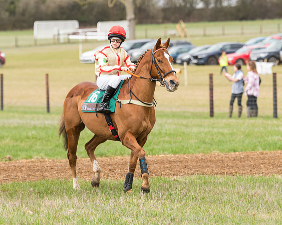 Pony Race 2  (2 of 109)