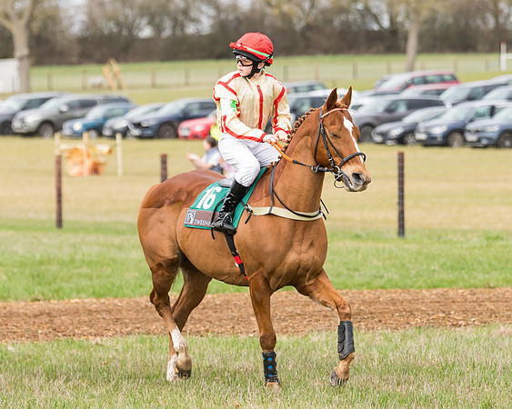 Pony Race 2  (3 of 109)