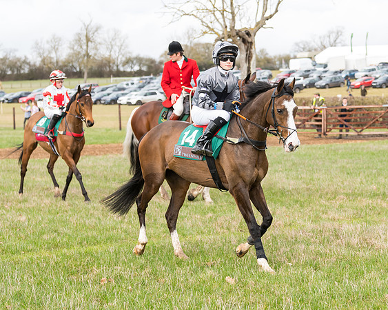 Pony Race 2  (7 of 109)