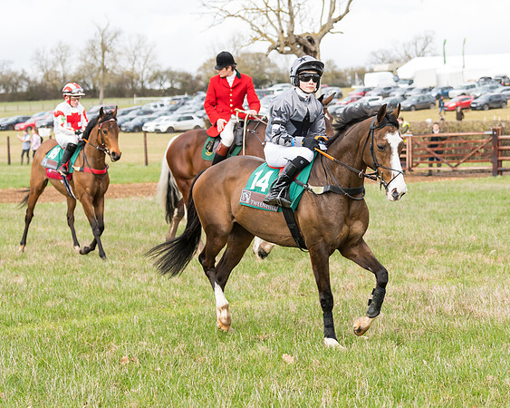 Pony Race 2  (8 of 109)