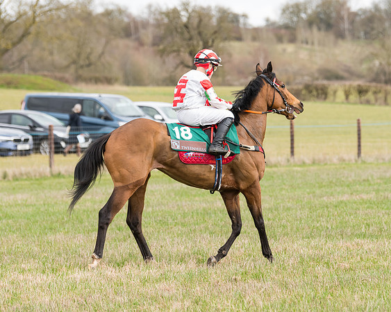 Pony Race 2  (12 of 109)