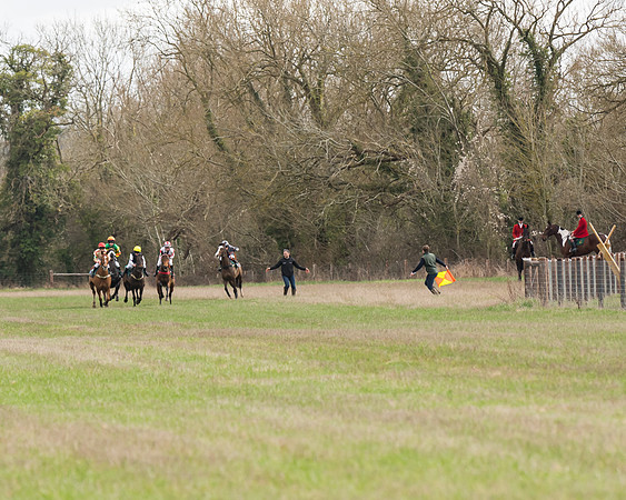 Pony Race 2  (13 of 109)