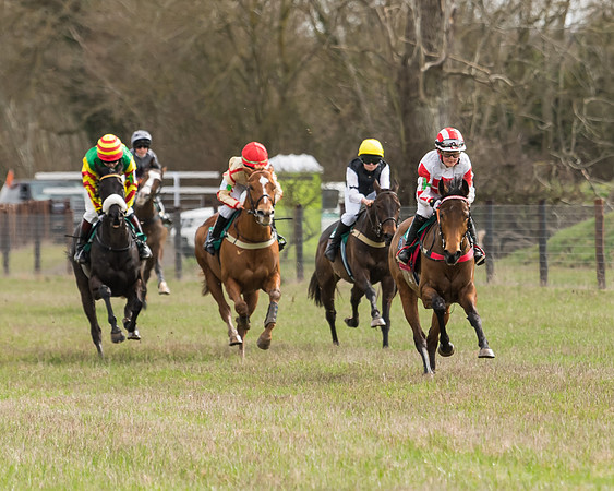 Pony Race 2  (14 of 109)