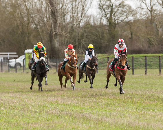 Pony Race 2  (17 of 109)