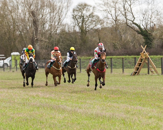 Pony Race 2  (18 of 109)