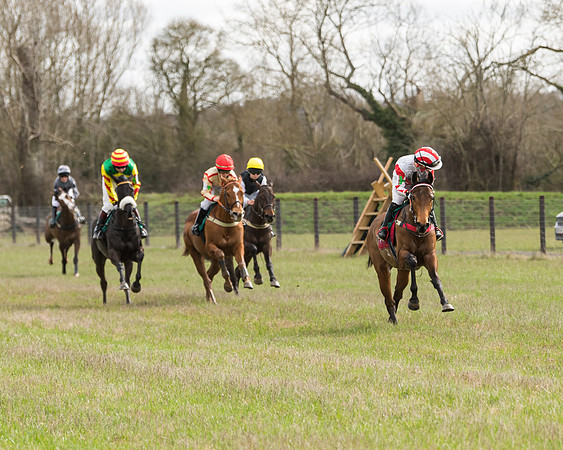 Pony Race 2  (19 of 109)