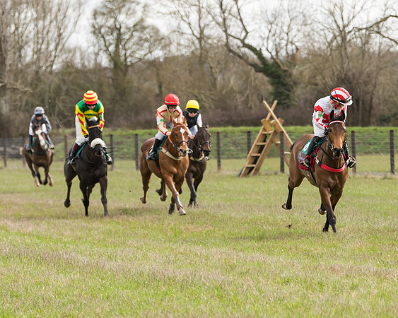 Pony Race 2  (20 of 109)