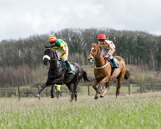 Pony Race 2  (22 of 109)