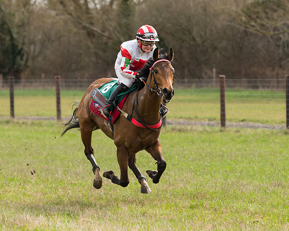 Pony Race 2  (23 of 109)