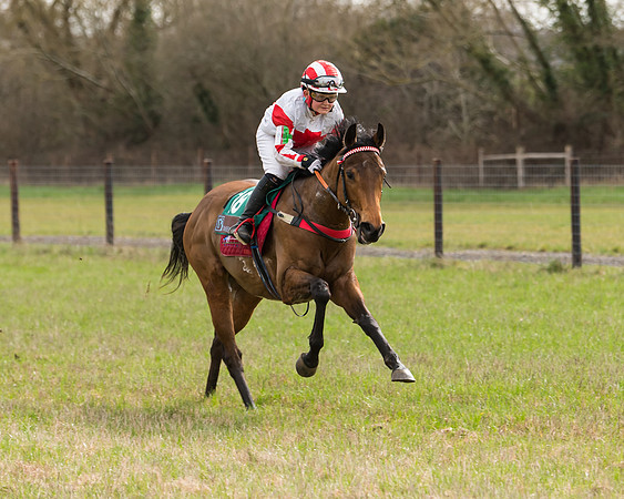 Pony Race 2  (25 of 109)