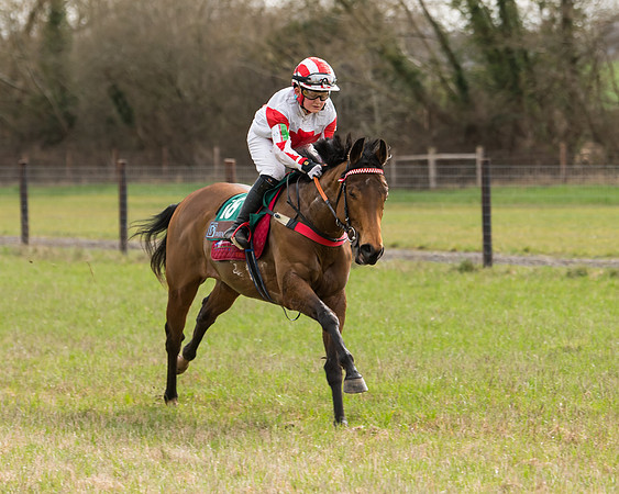 Pony Race 2  (26 of 109)