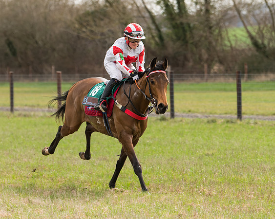 Pony Race 2  (27 of 109)