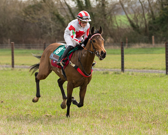 Pony Race 2  (28 of 109)