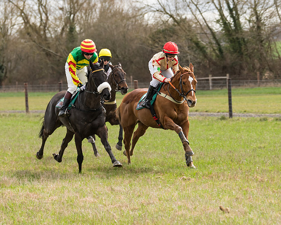 Pony Race 2  (29 of 109)