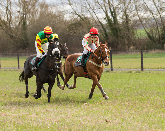 Pony Race 2  (30 of 109)
