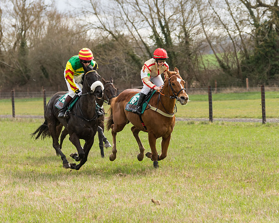 Pony Race 2  (31 of 109)