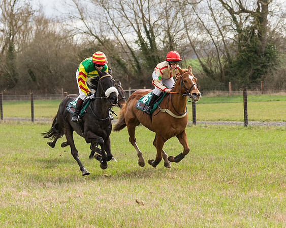 Pony Race 2  (32 of 109)