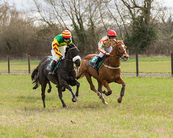 Pony Race 2  (33 of 109)