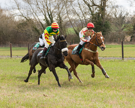 Pony Race 2  (34 of 109)