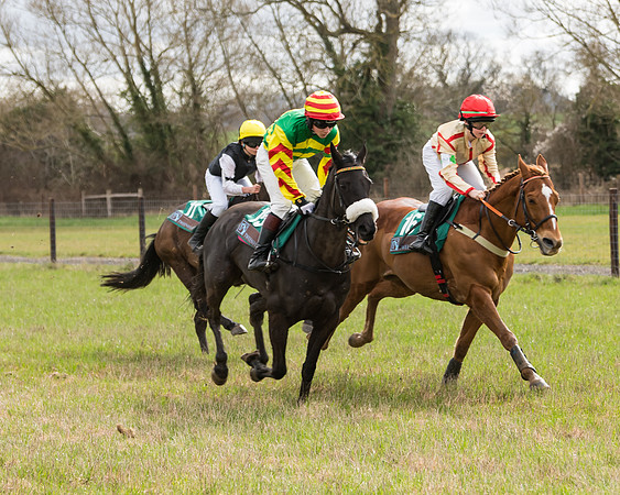 Pony Race 2  (36 of 109)