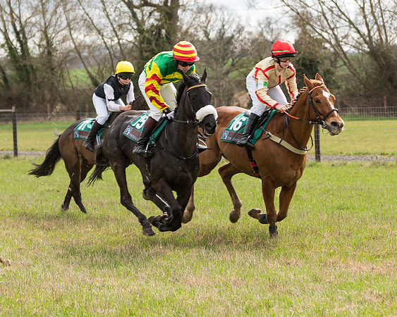 Pony Race 2  (37 of 109)