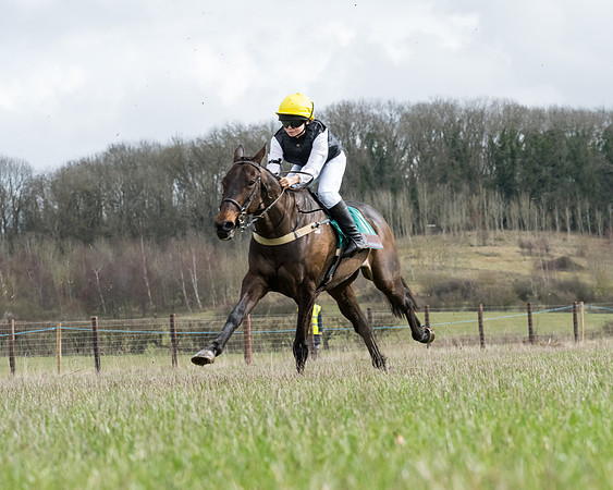 Pony Race 2  (38 of 109)