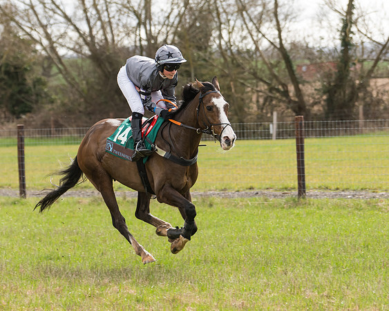 Pony Race 2  (47 of 109)