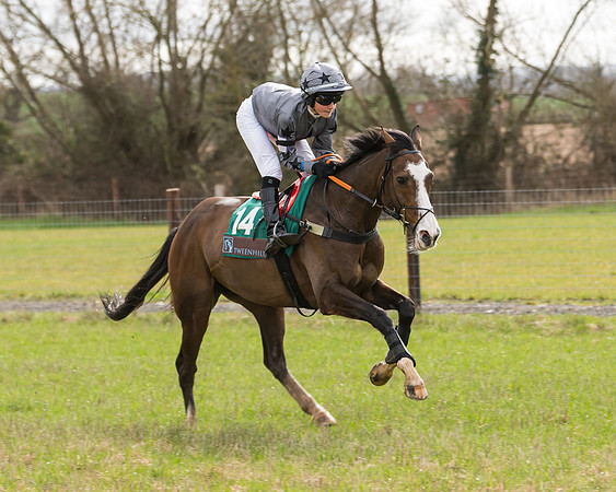 Pony Race 2  (48 of 109)