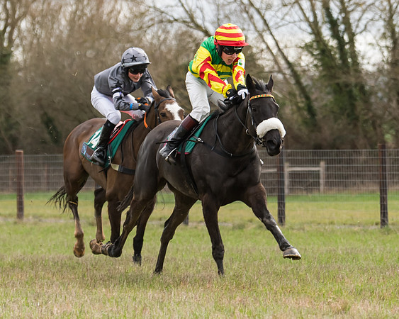 Pony Race 2  (50 of 109)