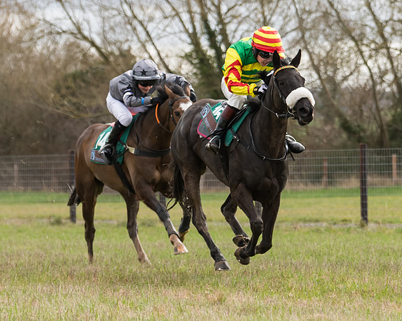 Pony Race 2  (53 of 109)