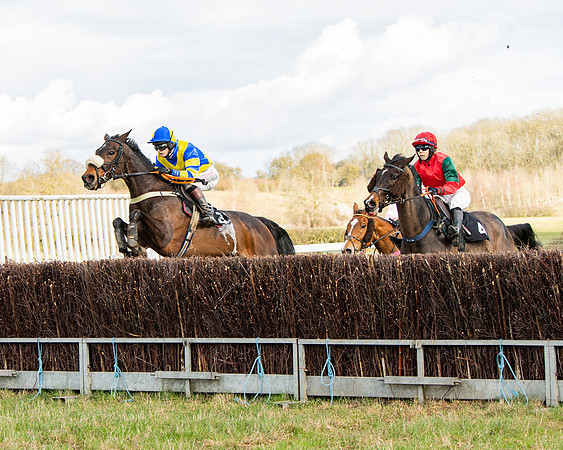 Race 4 - Ladies Open (34 of 86)
