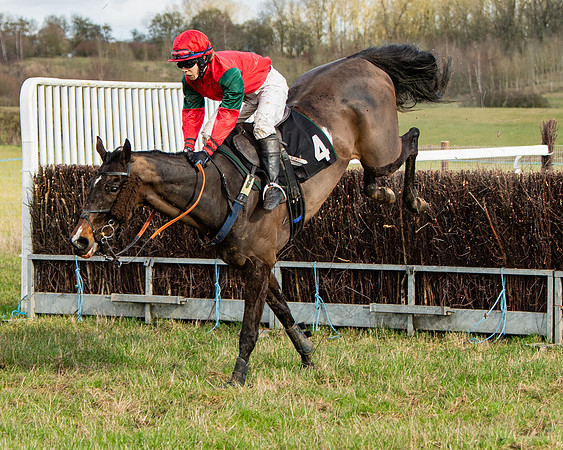 Race 4 - Ladies Open (58 of 86)
