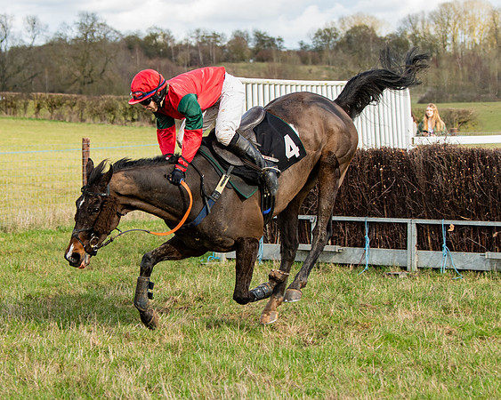 Race 4 - Ladies Open (59 of 86)