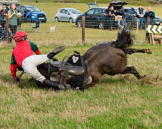 Race 4 - Ladies Open (64 of 86)