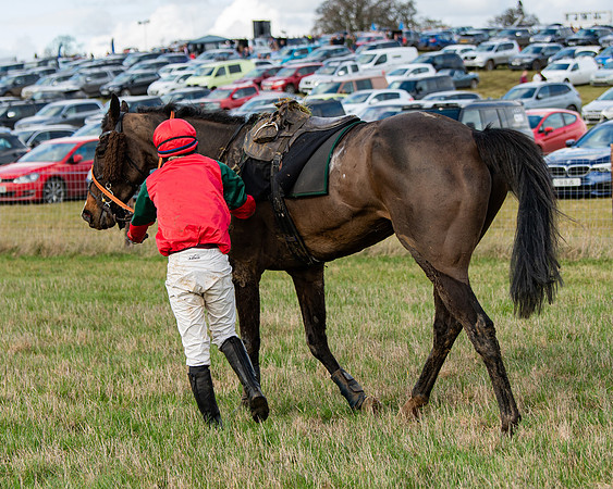 Race 4 - Ladies Open (66 of 86)