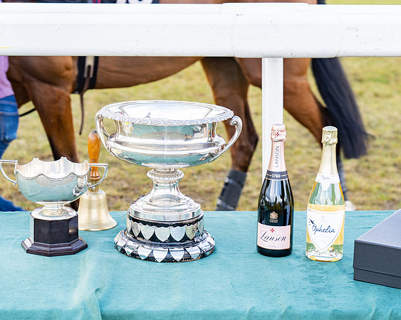 Race 4 - Ladies Open (80 of 86)