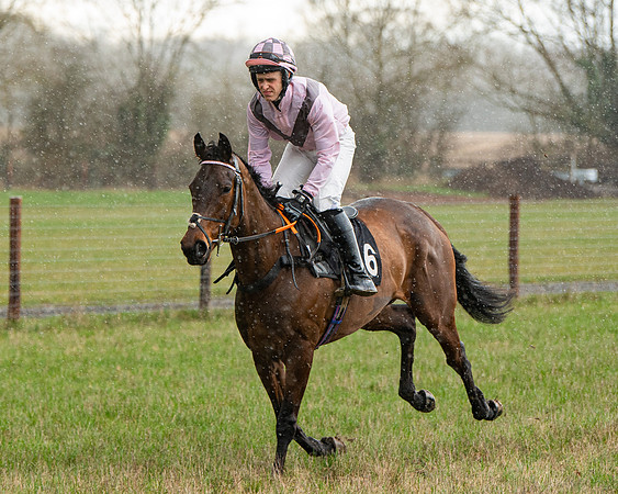 Race 5 - Restricted  (1 of 141)