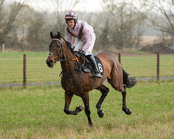 Race 5 - Restricted  (2 of 141)