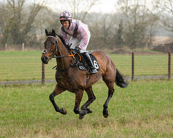 Race 5 - Restricted  (3 of 141)