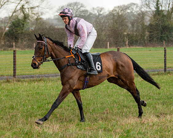 Race 5 - Restricted  (5 of 141)