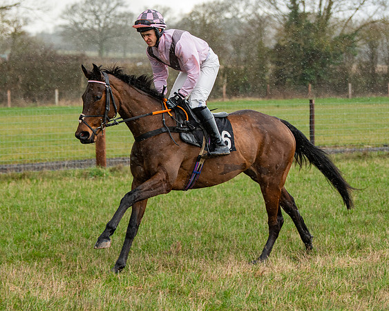 Race 5 - Restricted  (4 of 141)