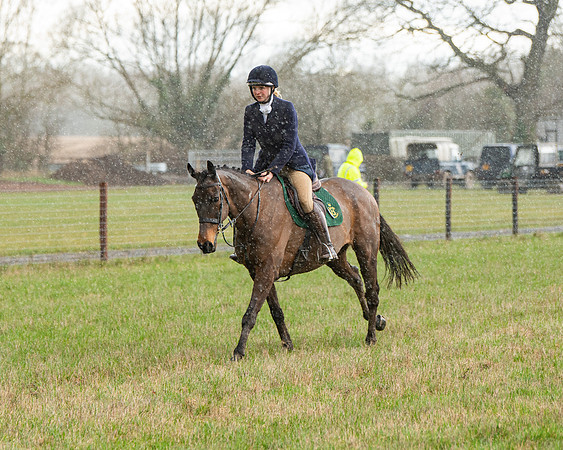 Race 5 - Restricted  (6 of 141)
