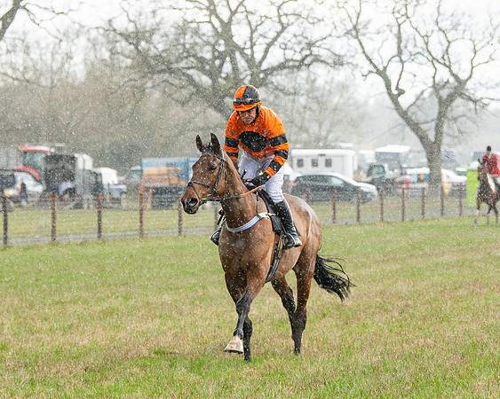 Race 5 - Restricted  (10 of 141)